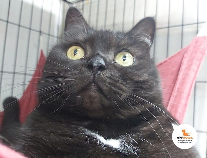 �������� � �������� ����� ��������� �����.