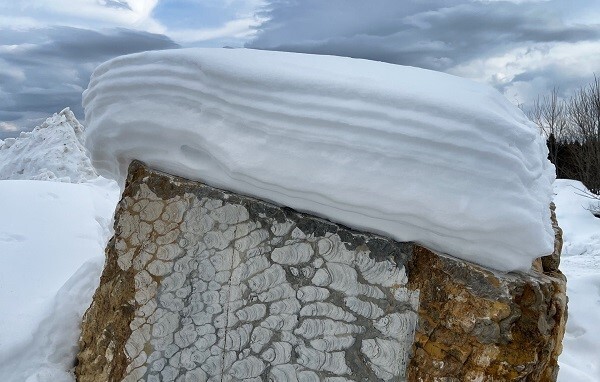 ����: ���������� �����������