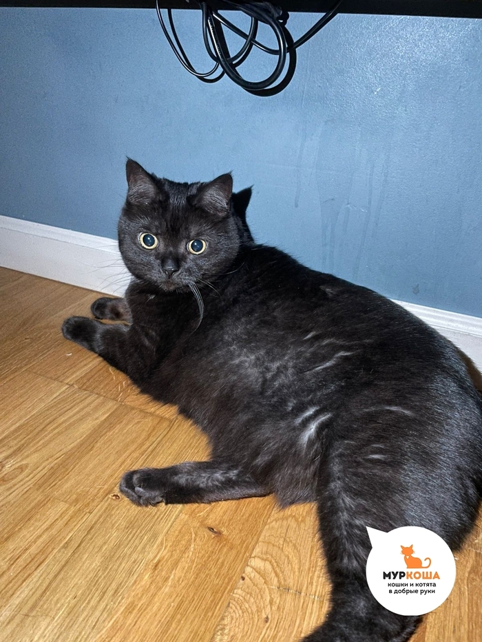 ��������� �������� ���� � ���������!