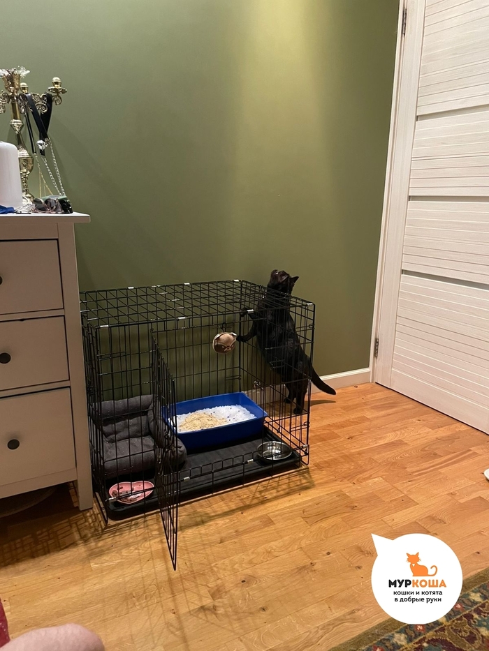 �������� ������� ����� ������������� ����� ����. ���������� ���� ��� ����� ������������������ ���������� ������� ����������.