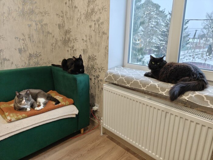 ������ �� ������� ������� �������, ������� ������� � ����� ��� � ����� ����������� ������� � ��� ���� �����