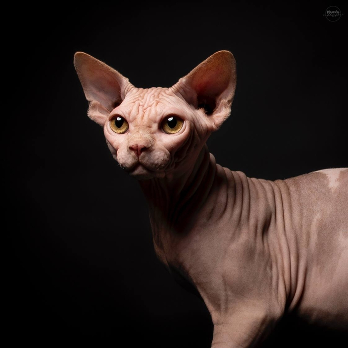 ������� �� �������.