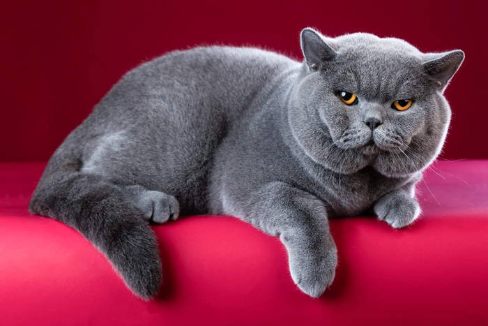 ������� �� ����������, ��� ��� ���-�� �� ��������.