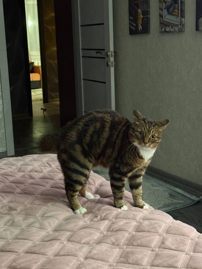 ��� �������!