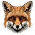 HitryFox