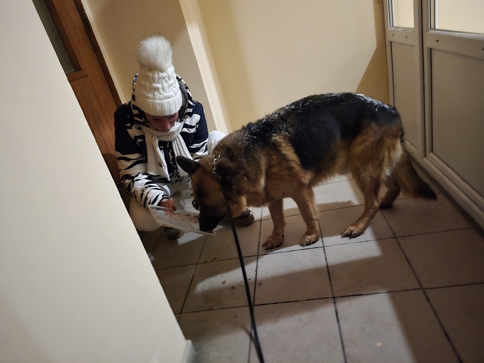 ����� � ��������� 2 ����� ���������