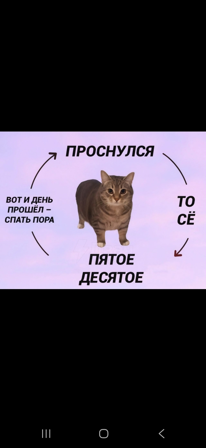 ����� ��� ����� ���