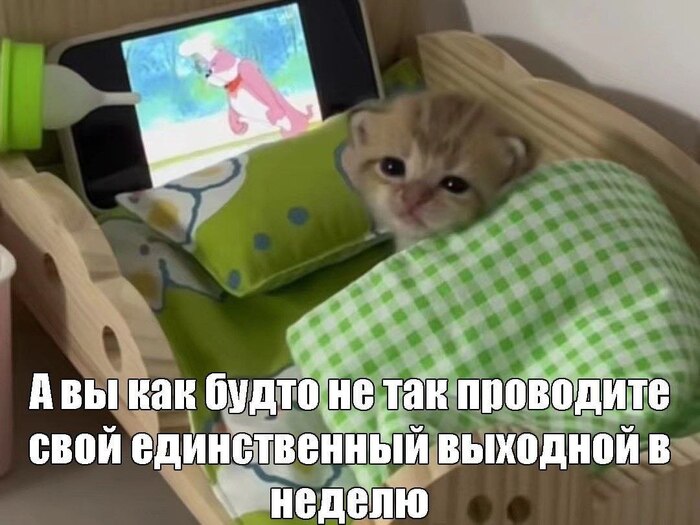 � ���. � ��� �������