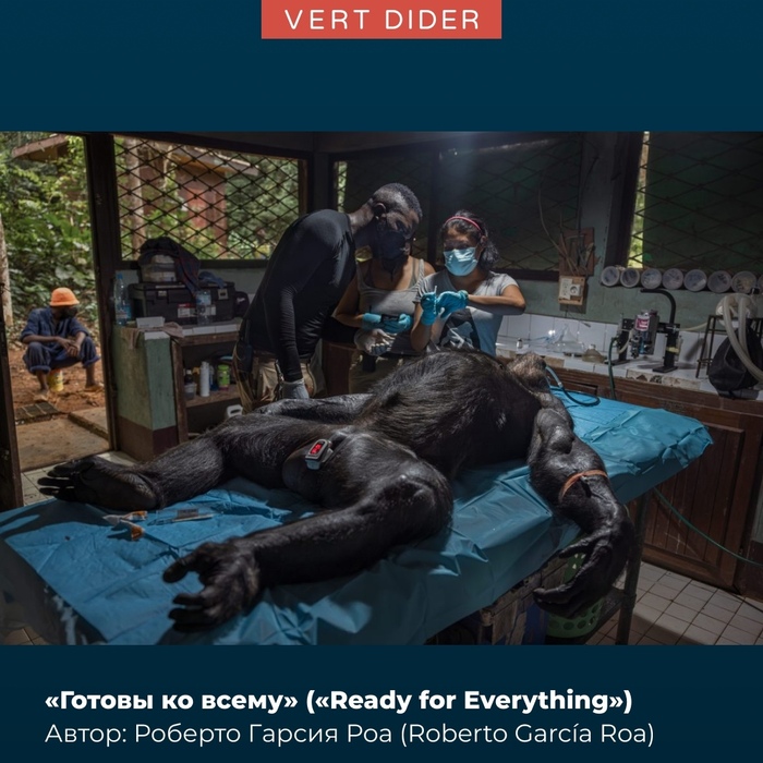 ��� ��� ����