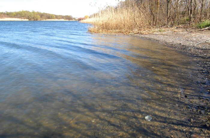 ���� ����