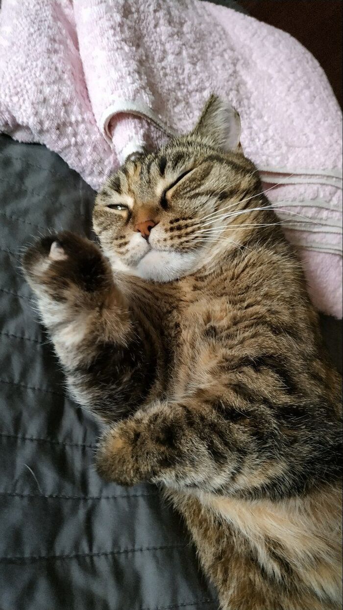 ��������� ����