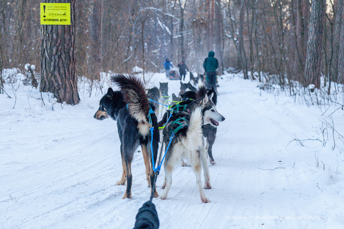 ��� �� ������� ����