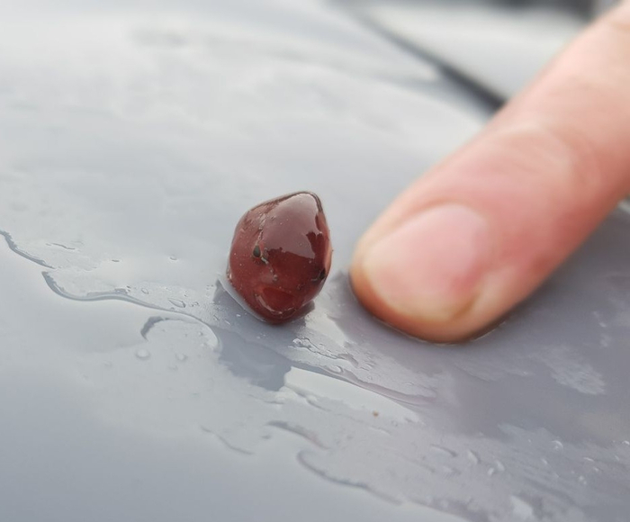 Оп, микрожелешка.