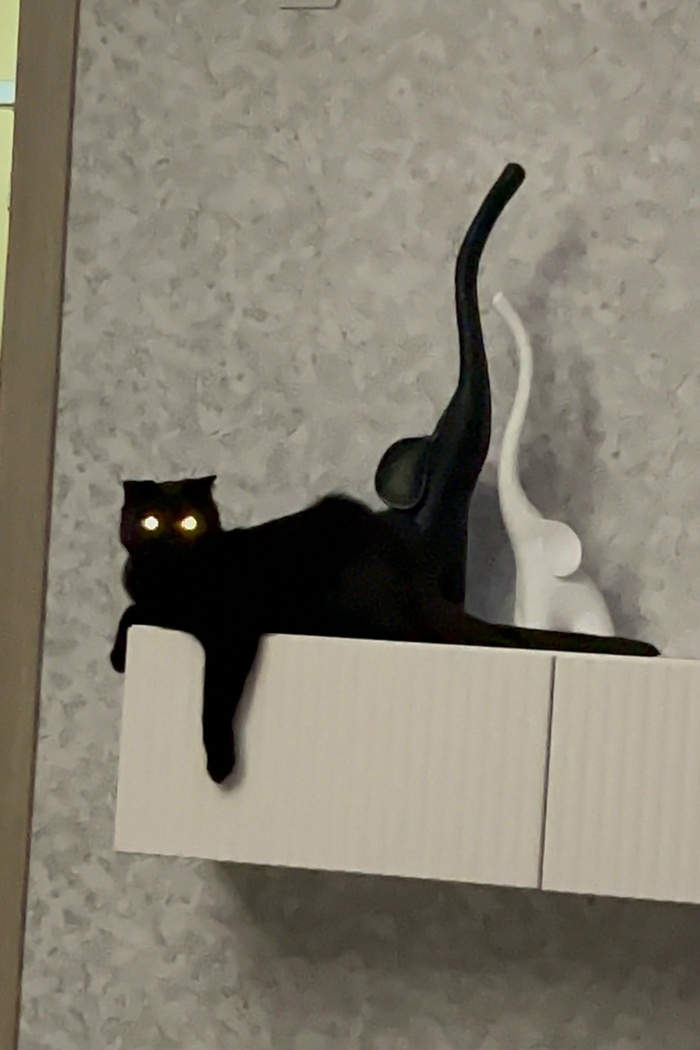 ��� ��� ����))