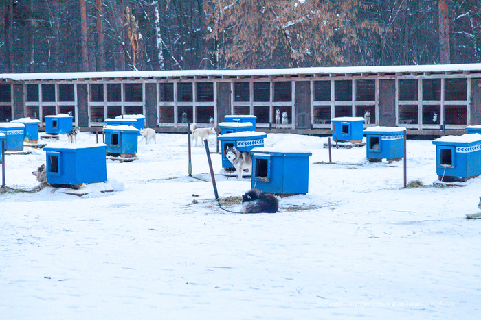 ������� ������. � ������ ���� ����������