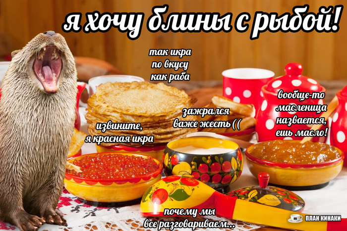 ��� ����� ���� ���������