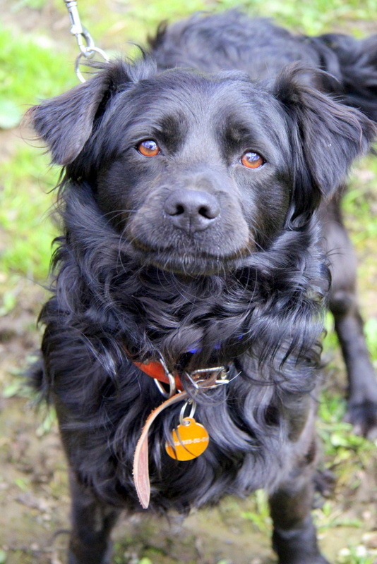 Я всё понял:)