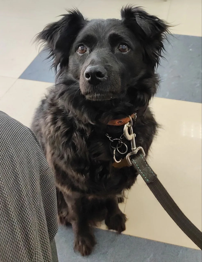 Сегодня немножко мимических морщинок буду добавлять вам Я