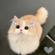 ������ ������������ lerafaniI