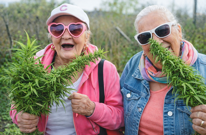 Zm420.vip c ��� - ���� �����)))