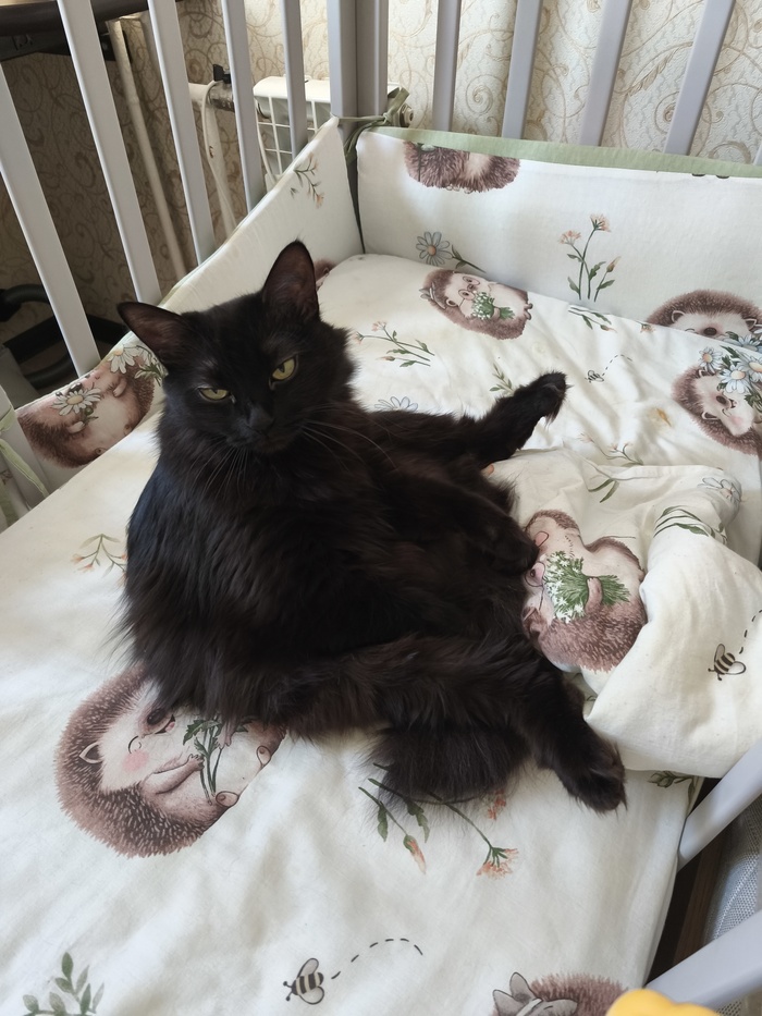 ������� ���� ��� ����� �� ��������! ��� ������, ��������!