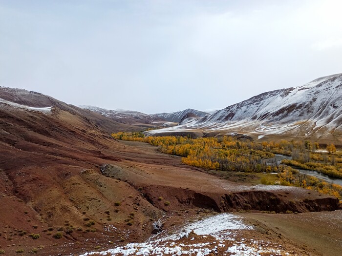 ������� ����