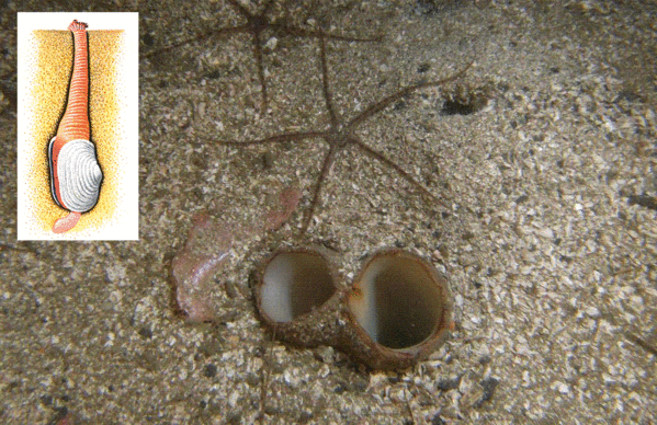 �� ���� �� �������������, ���� ������� ���� ��� �������� ����...