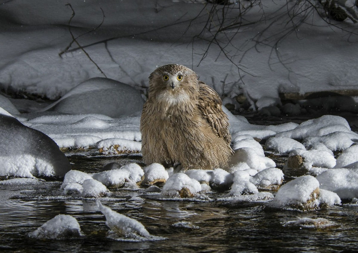 ����� � ��� ����.