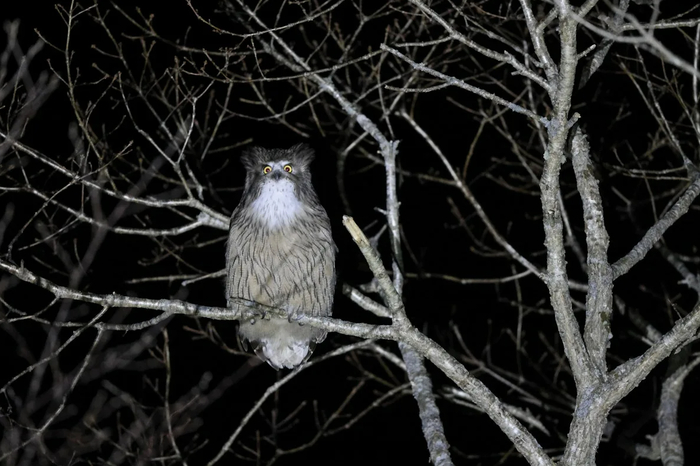 ������! �� ����� �� �� ��� �����.