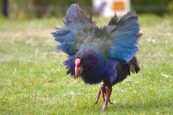 ����� ������ �� ���������!