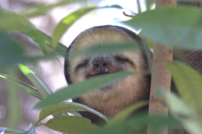 ��� ����, ����� �������� �� ���� ����� ����������, ���� �� ������ �� ������.