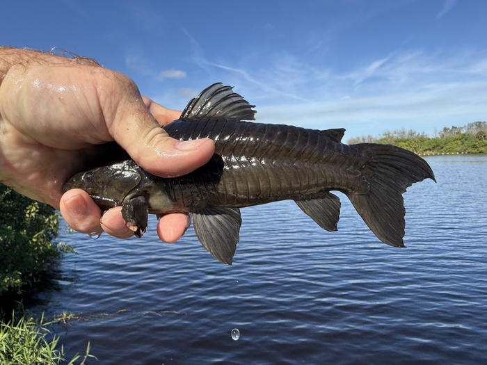 ��� ������������, ��� ��������. � ��������� ���� �����?