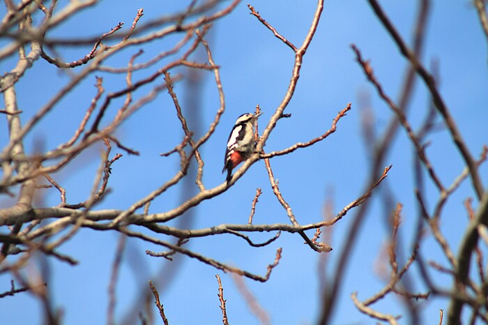 � ����� ����� - ��� ����� ������ �����, ������, �������, ����������.