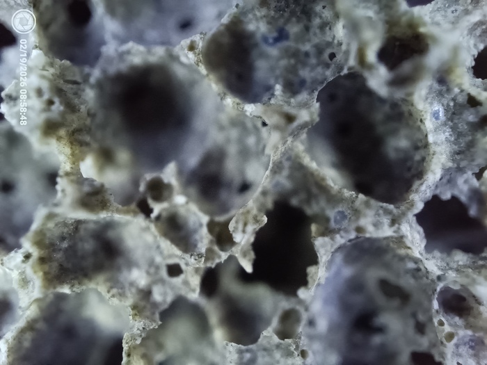 ��������� �������������