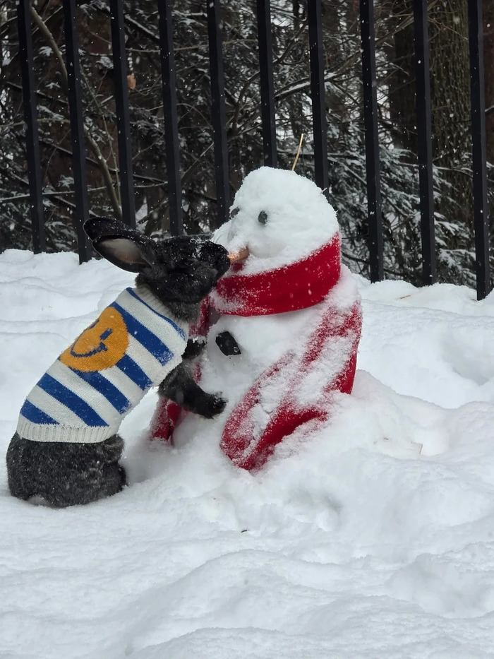 Извини, братан, мне нужнее