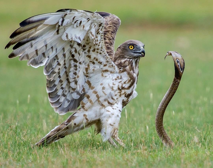 �� ��� �������, �� ���� ����������!