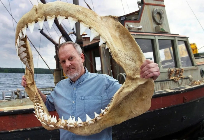 � ����� ������ �������� �� ������ ����, � ����������� �������!