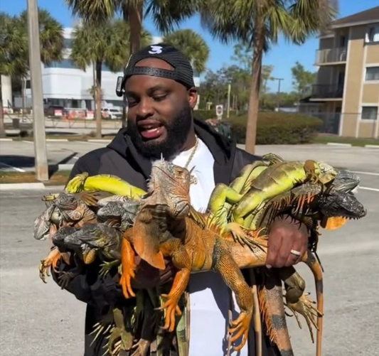 � ����� ������� ���� ����� �� �����.