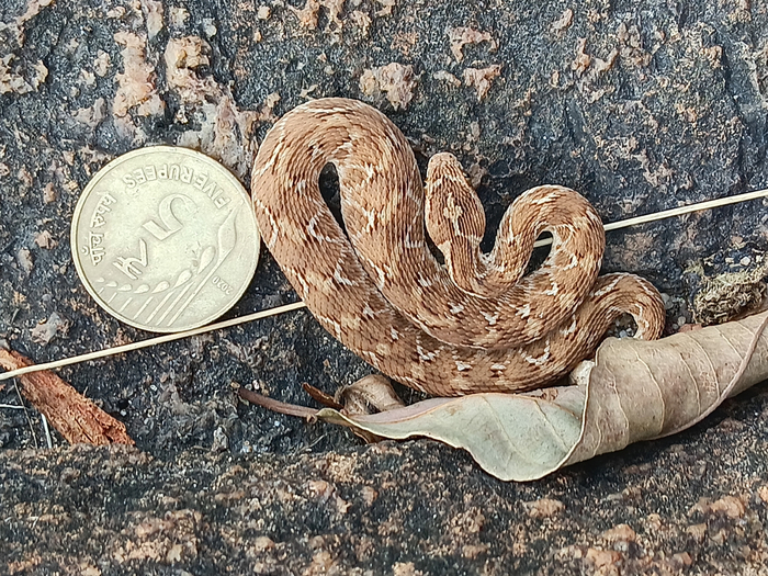 �������, ���������� �� ���� �������? � ���� ������ ������ ������ �������!