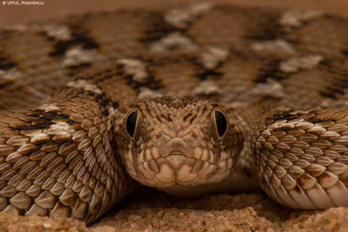 ���, �������� ���, � ���� �� ��������� ����������������� ��� ����� �����, ������ �� ��������!