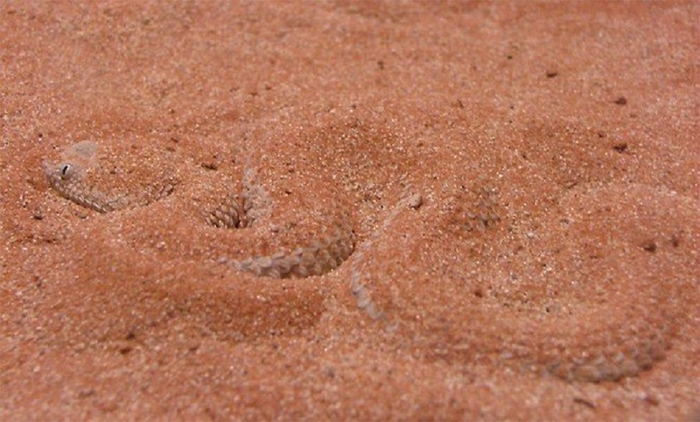 ��� �� ���������, � �� �������!