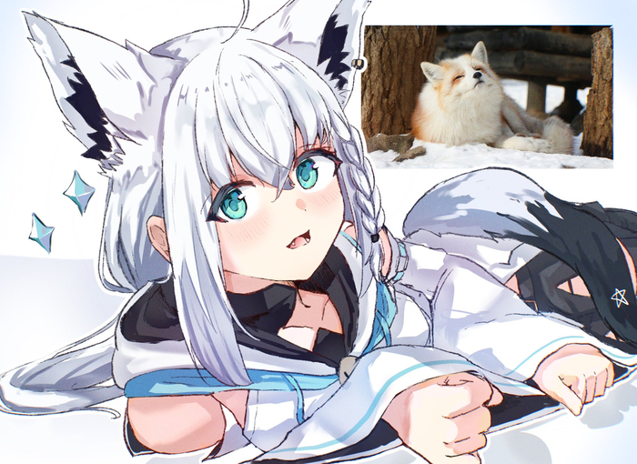 ����������� ����� ��������