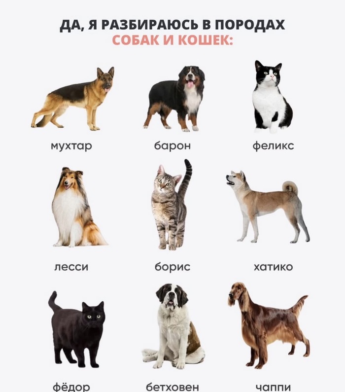 � ����� ������ ������ ��?