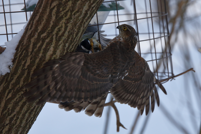 ������-������������ � ��������. ������� 2026