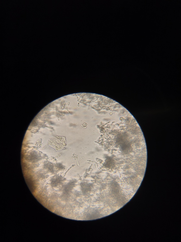 ���������� 640 ����