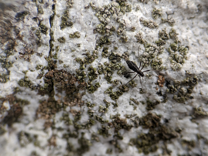 ������, ����� �������� ����� � ��� ��� ��������������� ������ ���� ��������.