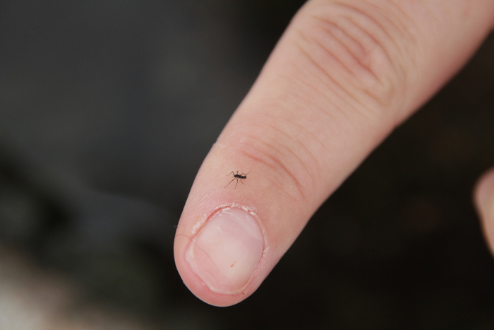 �� ��, ������ �������...�� � ���������� ����� �������!