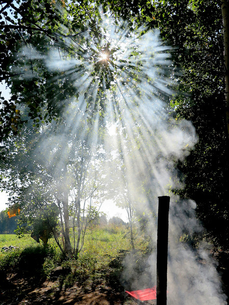  ������ ������� ������� - ��������� ��������� ����� � ���� ������. ���� ������