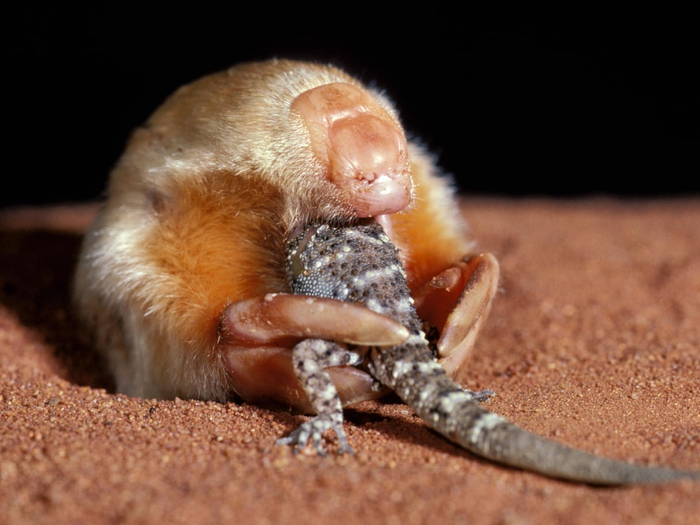 �������� �������� �� ��� ������. ����� ��������� ����� ������ �������� � ������� �������� ��� ������� ������ � �����.