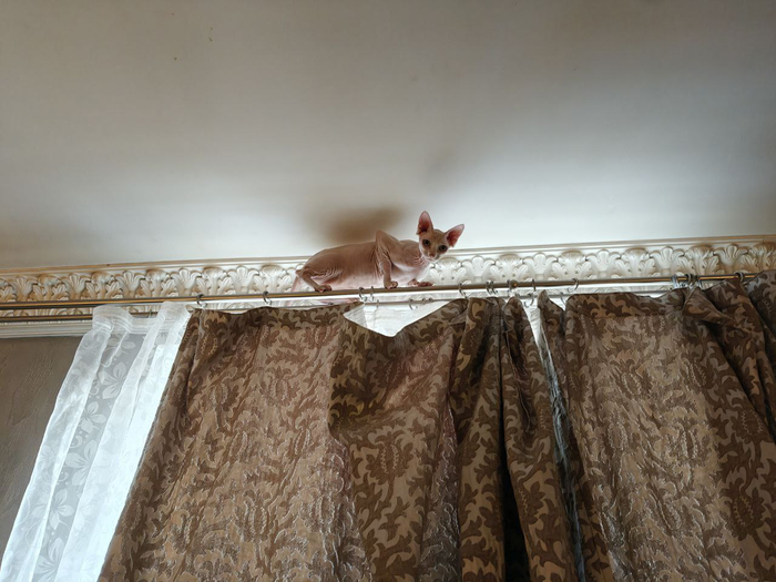 Нам и тут хорошо